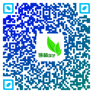 微信扫一扫 直接拨打电话